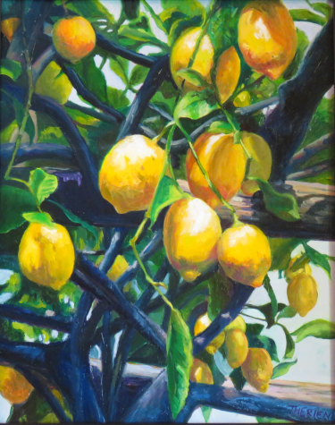 Lemon Garden - Ravello, Italy